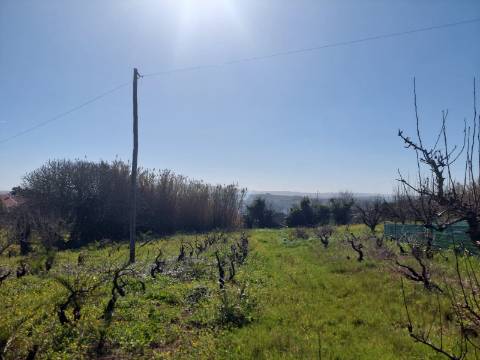 Terreno Rustico Urbanizável