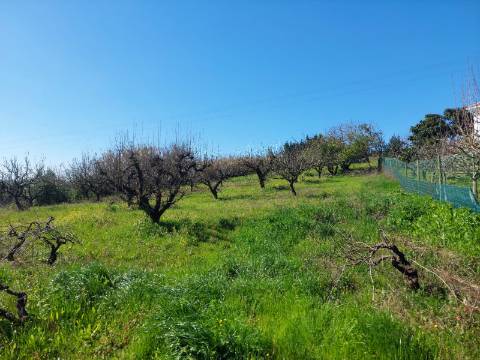 Terreno Rustico Urbanizável