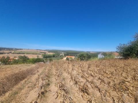 Terreno Urbanizável com 1.880m² em Campelos - Torres Vedras
