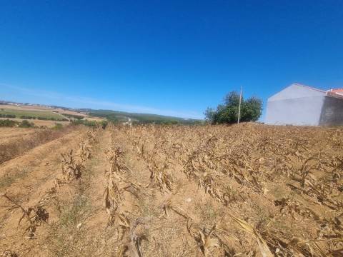 Terreno Urbanizável com 1.880m² em Campelos - Torres Vedras