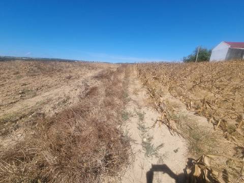 Terreno Urbanizável com 1.880m² em Campelos - Torres Vedras