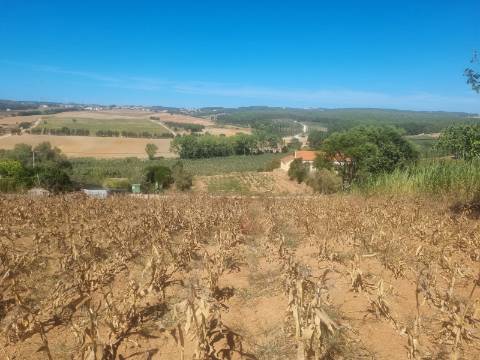 Terreno Urbanizável com 1.880m² em Campelos - Torres Vedras