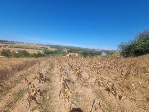 Terreno Urbanizável com 1.880m² em Campelos - Torres Vedras