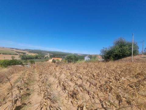 Terreno Urbanizável com 1.880m² em Campelos - Torres Vedras
