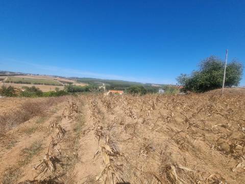 Terreno Urbanizável com 1.880m² em Campelos - Torres Vedras