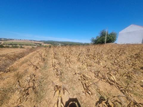 Terreno Urbanizável com 1.880m² em Campelos - Torres Vedras