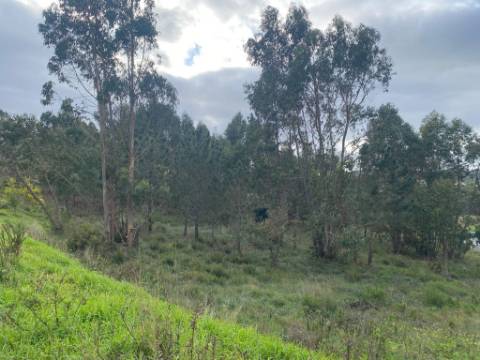 Lote Terreno Industrial Torre Vedras