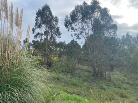 Lote Terreno Industrial Torre Vedras