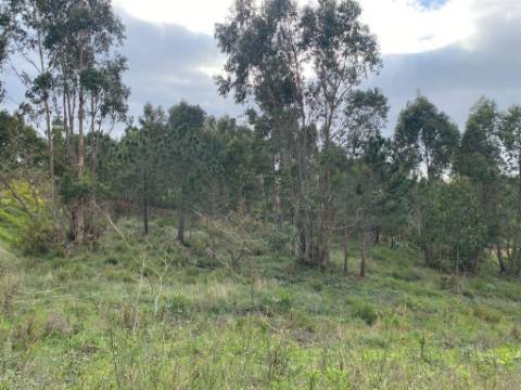 Lote Terreno Industrial Torre Vedras