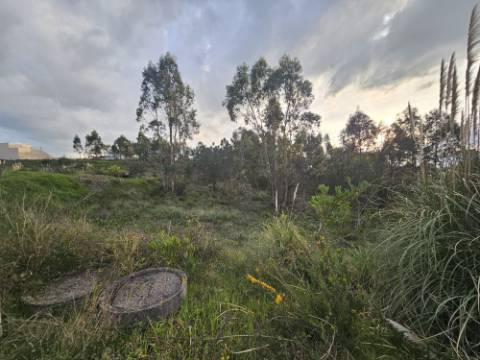 Lote Terreno Industrial Torre Vedras