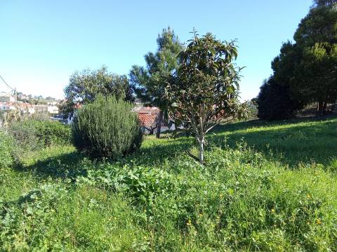 Quinta , localizada em Sarge