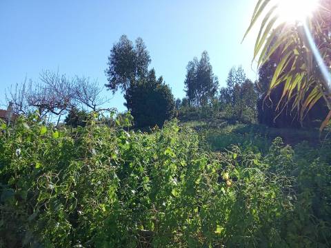 Quinta , localizada em Sarge