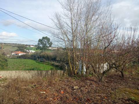 Terreno com Casa de habitação na Merceana