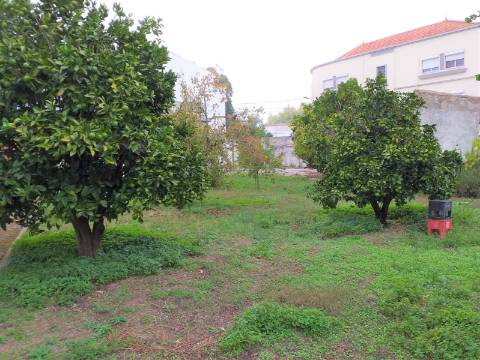 Propriedade espetacular e única à venda no centro do Bombarral
