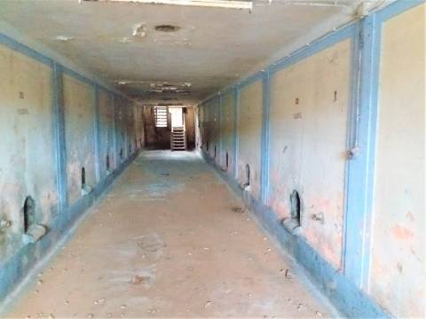 Propriedade espetacular e única à venda no centro do Bombarral