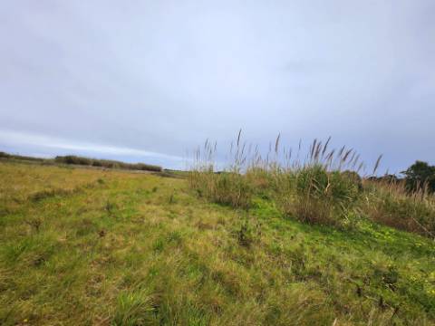 Casa -de -fornos -de- Cal- Serra D´El Rei