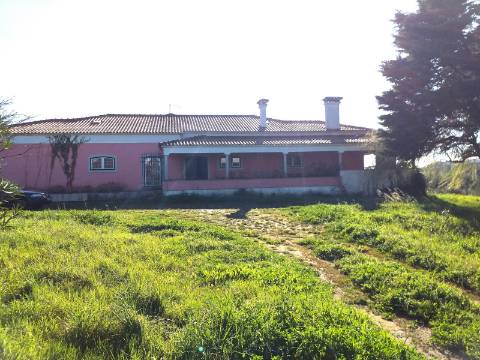 Quinta T6 em Óbidos!