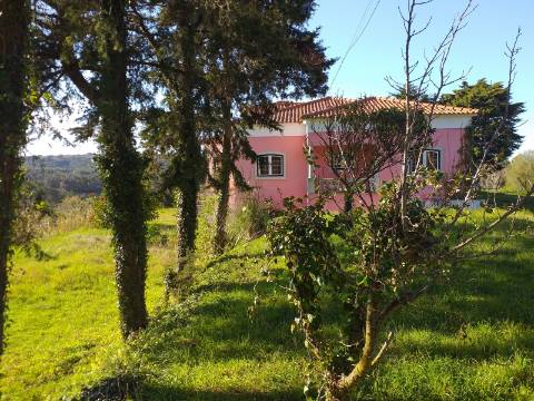 Quinta T6 em Óbidos!