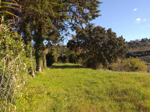 Quinta T6 em Óbidos!