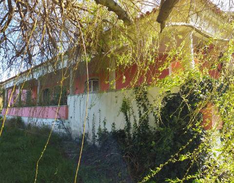 Quinta T6 em Óbidos!