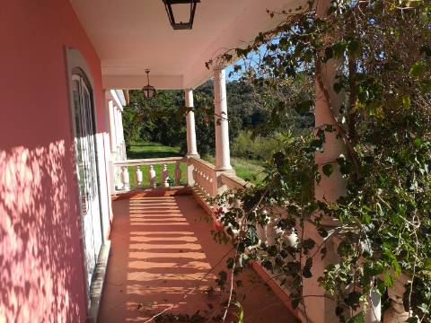 Quinta T6 em Óbidos!