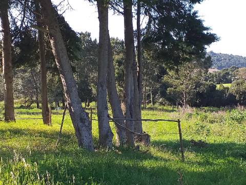 Quinta T6 em Óbidos!