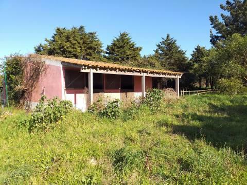 Quinta T6 em Óbidos!