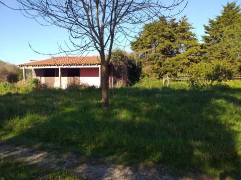 Quinta T6 em Óbidos!