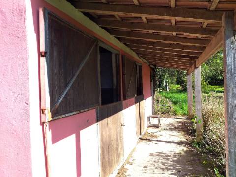 Quinta T6 em Óbidos!