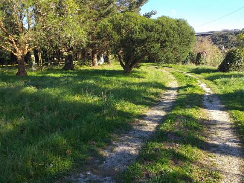 Quinta T6 em Óbidos!