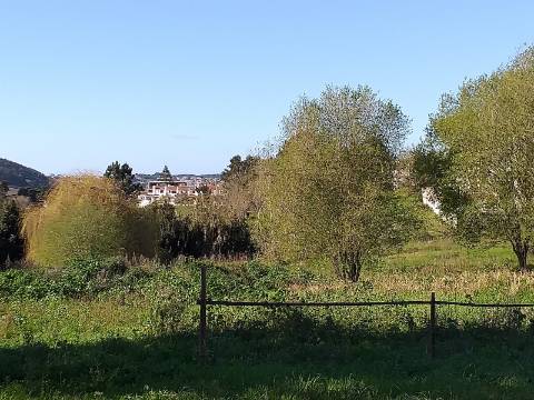 Quinta T6 em Óbidos!