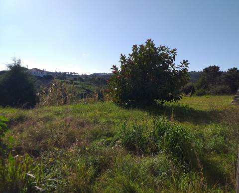 Quinta T6 em Óbidos!