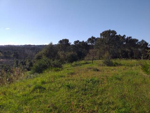 Quinta T6 em Óbidos!