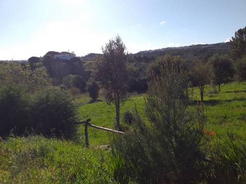 Quinta T6 em Óbidos!