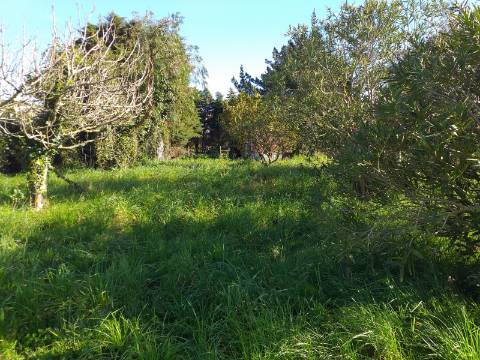 Quinta T6 em Óbidos!