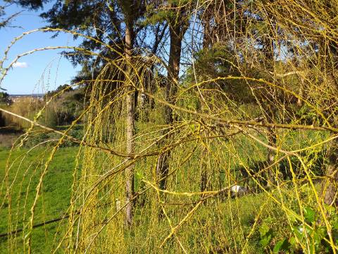 Quinta T6 em Óbidos!