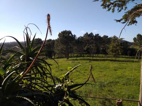 Quinta T6 em Óbidos!