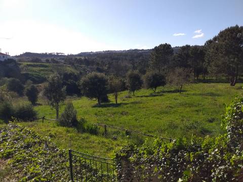 Quinta T6 em Óbidos!