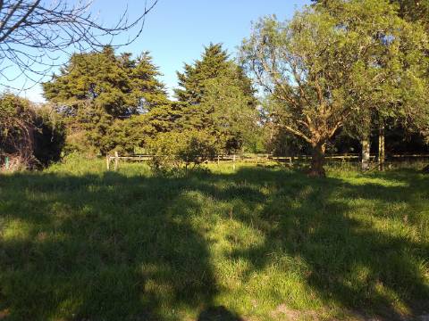 Quinta T6 em Óbidos!