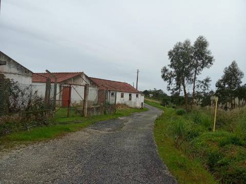 Terreno Misto para Construção