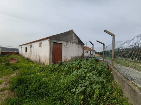 Terreno para construção com três Pavilhões Casais Larana