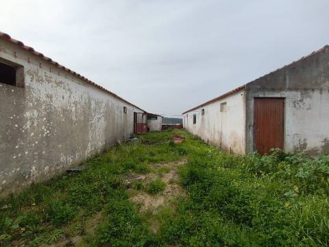 Terreno para construção com três Pavilhões Casais Larana