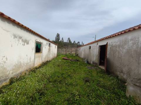 Terreno para construção com três Pavilhões Casais Larana