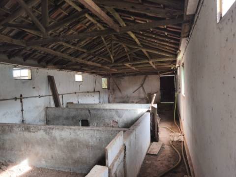 Terreno para construção com três Pavilhões Casais Larana