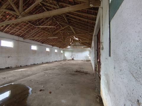 Terreno para construção com três Pavilhões Casais Larana