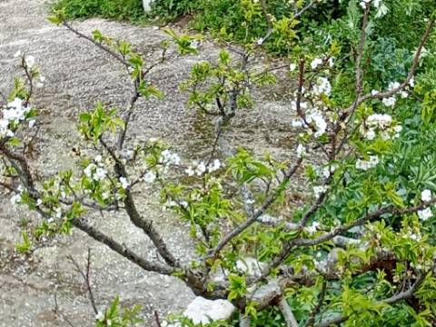 Terreno para construção