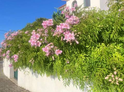 Moradia T3 - Serra D'el Rei, poucos minutos da maravilhosa praia do Baleal