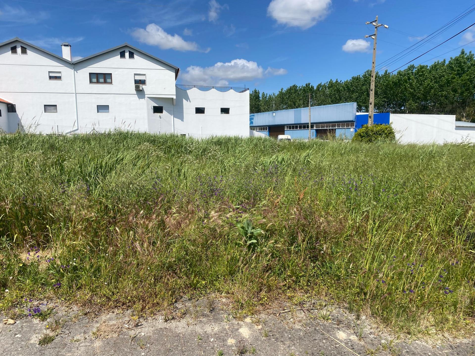 Lote de terreno com 354 m²