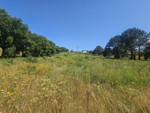 Terreno inserido no perímetro Urbano