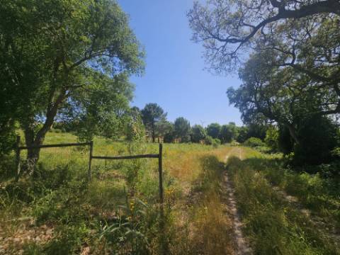 Terreno inserido no perímetro Urbano